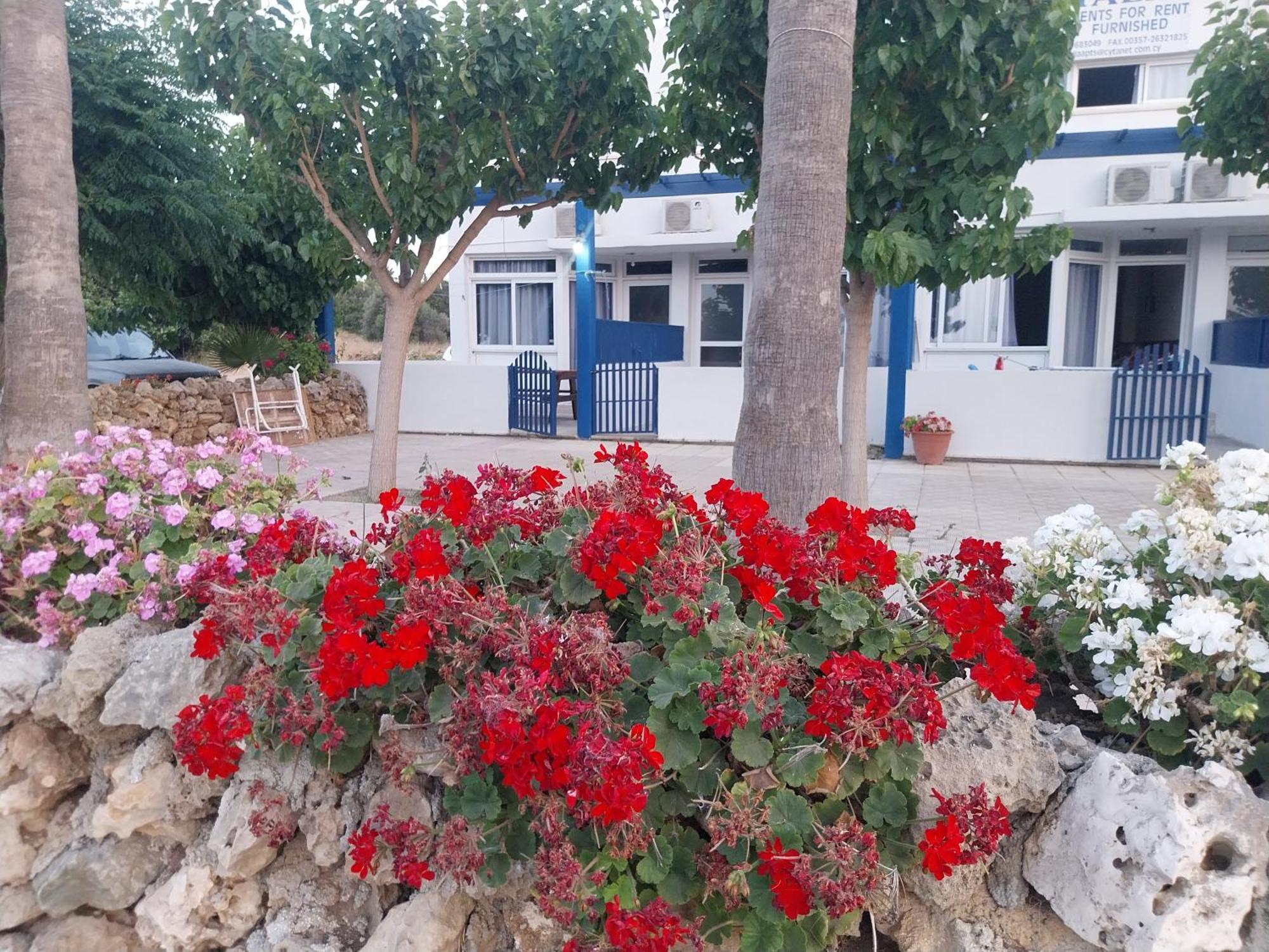 Amalia Apartments Polis Pokoj fotografie
